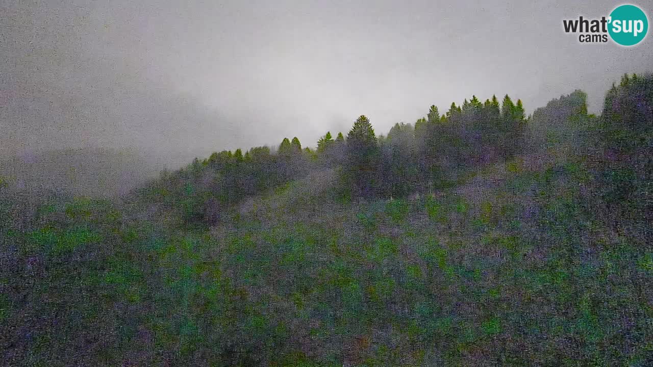 Webcam Smučišče Senožeta – Skigebiet in Srednja Vas bei Bohinj