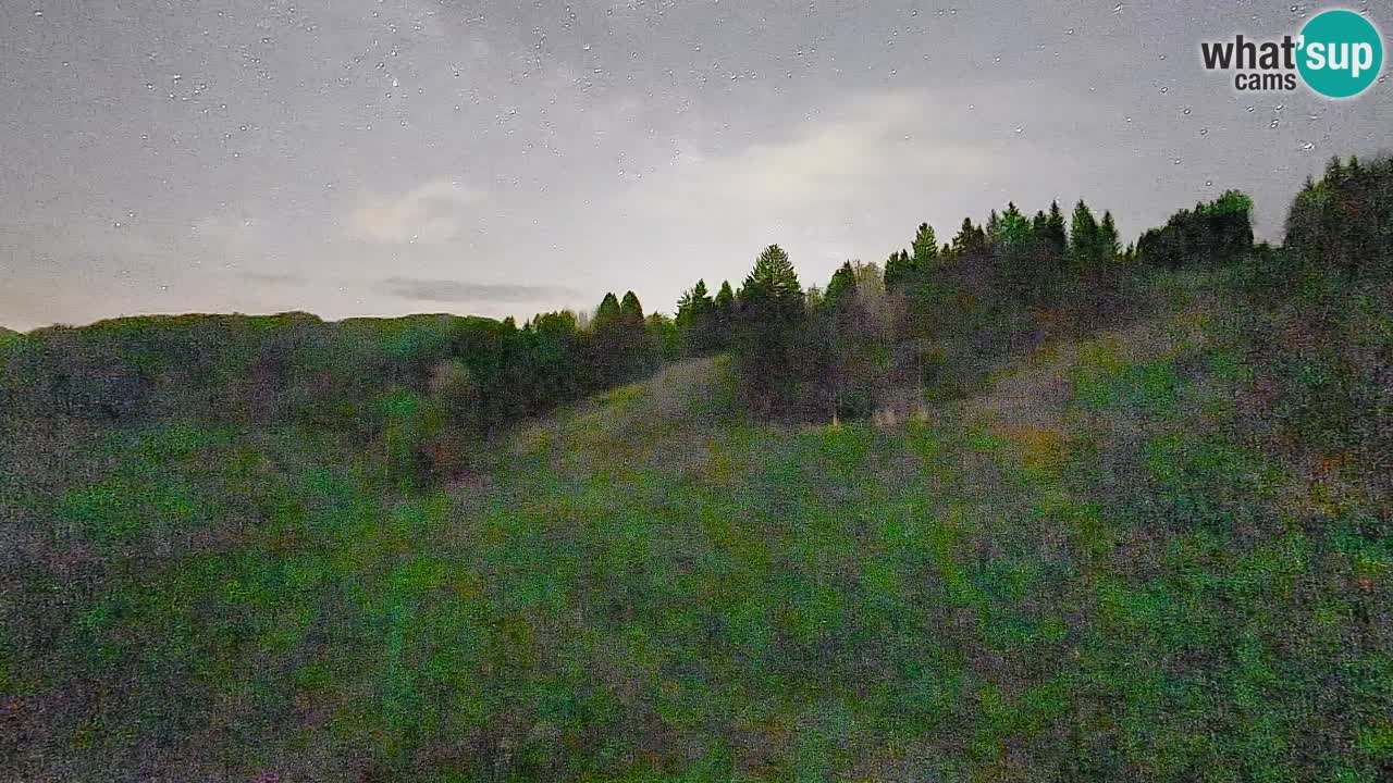 Webcam Smučišče Senožeta – Skigebiet in Srednja Vas bei Bohinj