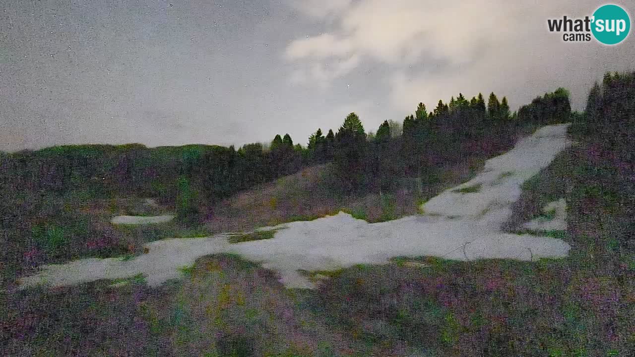 Webcam Smučišče Senožeta – Stazione sciistica a Srednja Vas vicino Bohinj