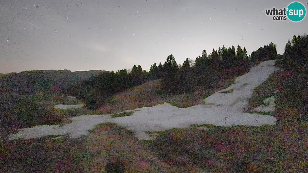 Webcam Smučišče Senožeta – Ski Resort Live View near Bohinj