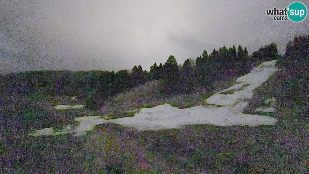 Webcam Smučišče Senožeta – Ski Resort Live View near Bohinj