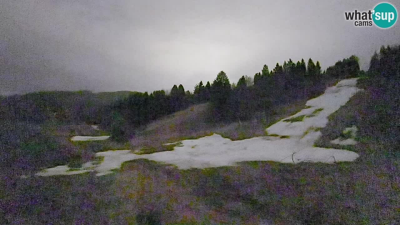 Webcam Smučišče Senožeta – Ski Resort Live View near Bohinj