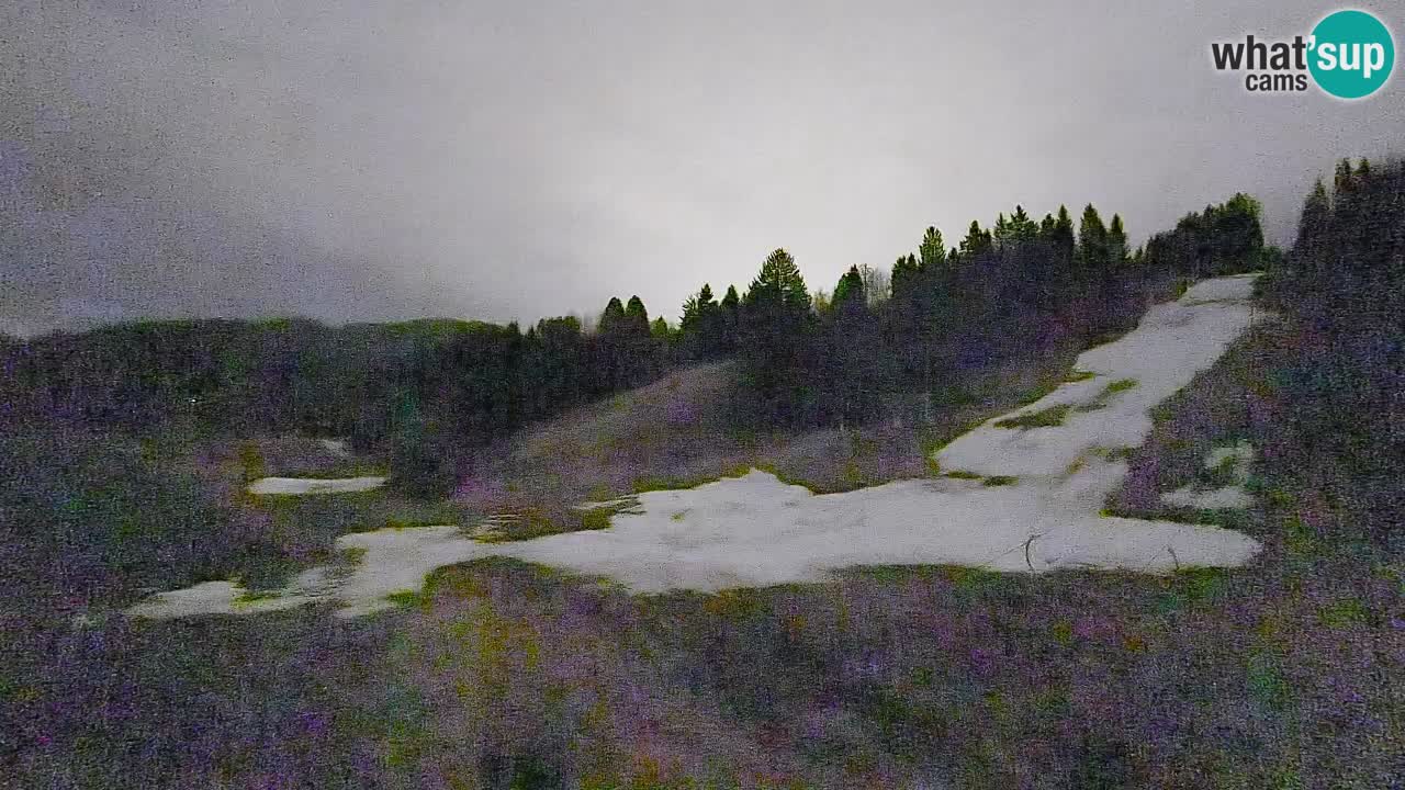 Webcam Smučišče Senožeta – Skigebiet in Srednja Vas bei Bohinj