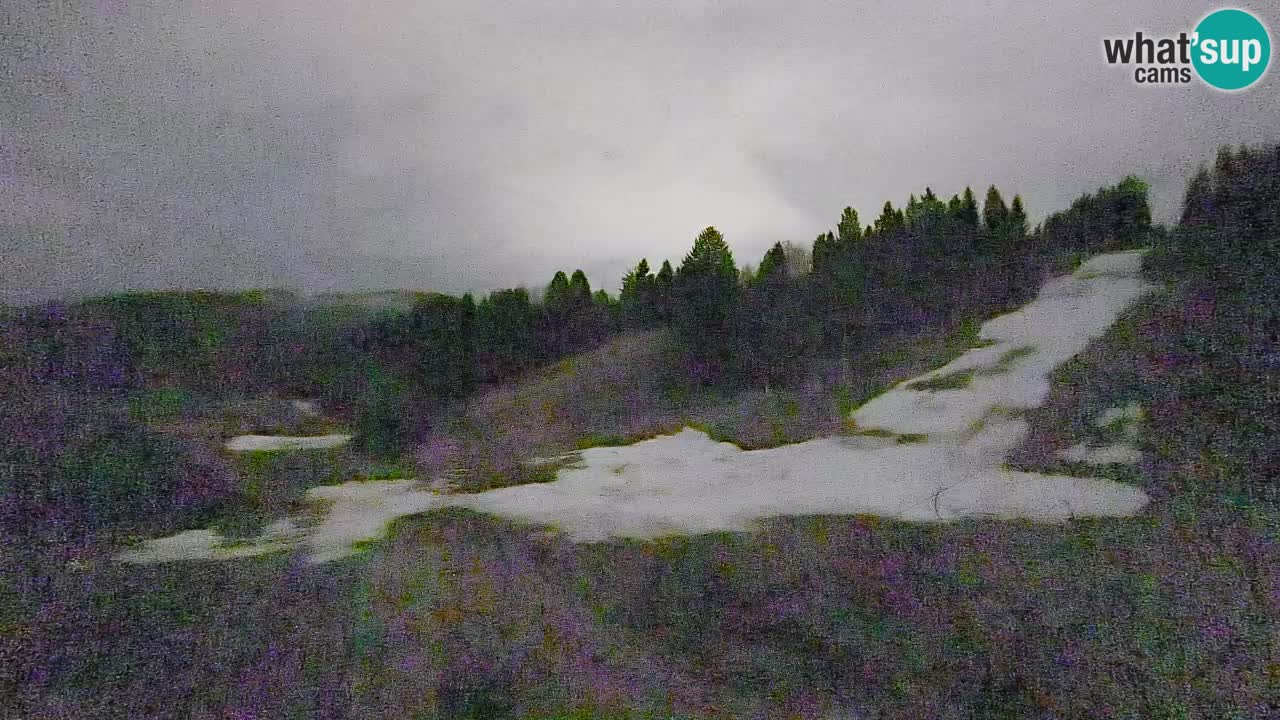 Webcam Smučišče Senožeta – Stazione sciistica a Srednja Vas vicino Bohinj