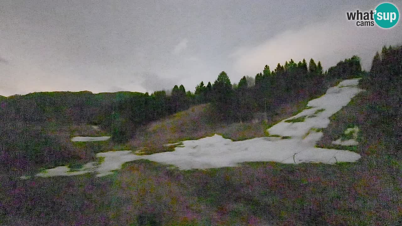 Spletna kamera Smučišče Senožeta – smučarsko središče v Srednji vasi pri Bohinju