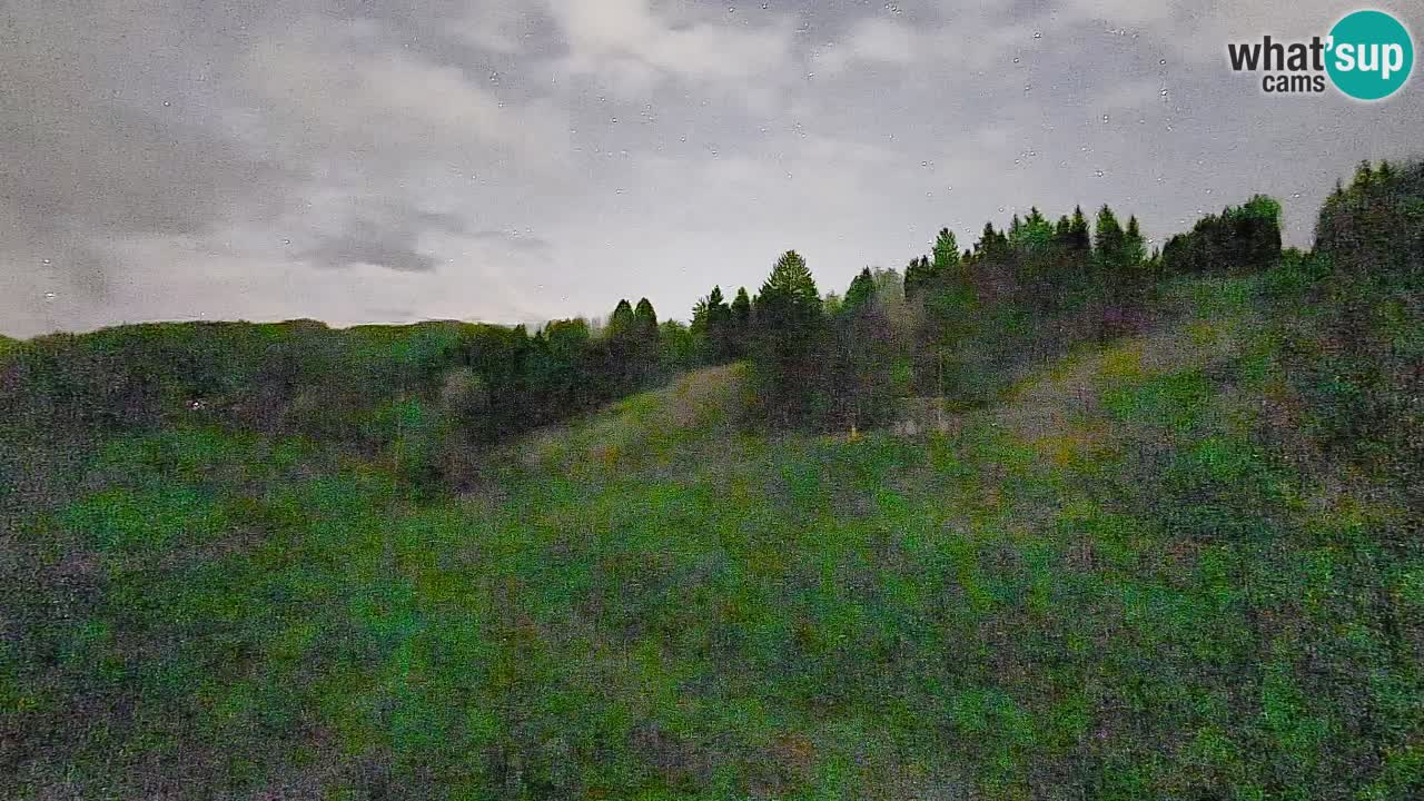 Webcam Smučišče Senožeta – Skigebiet in Srednja Vas bei Bohinj