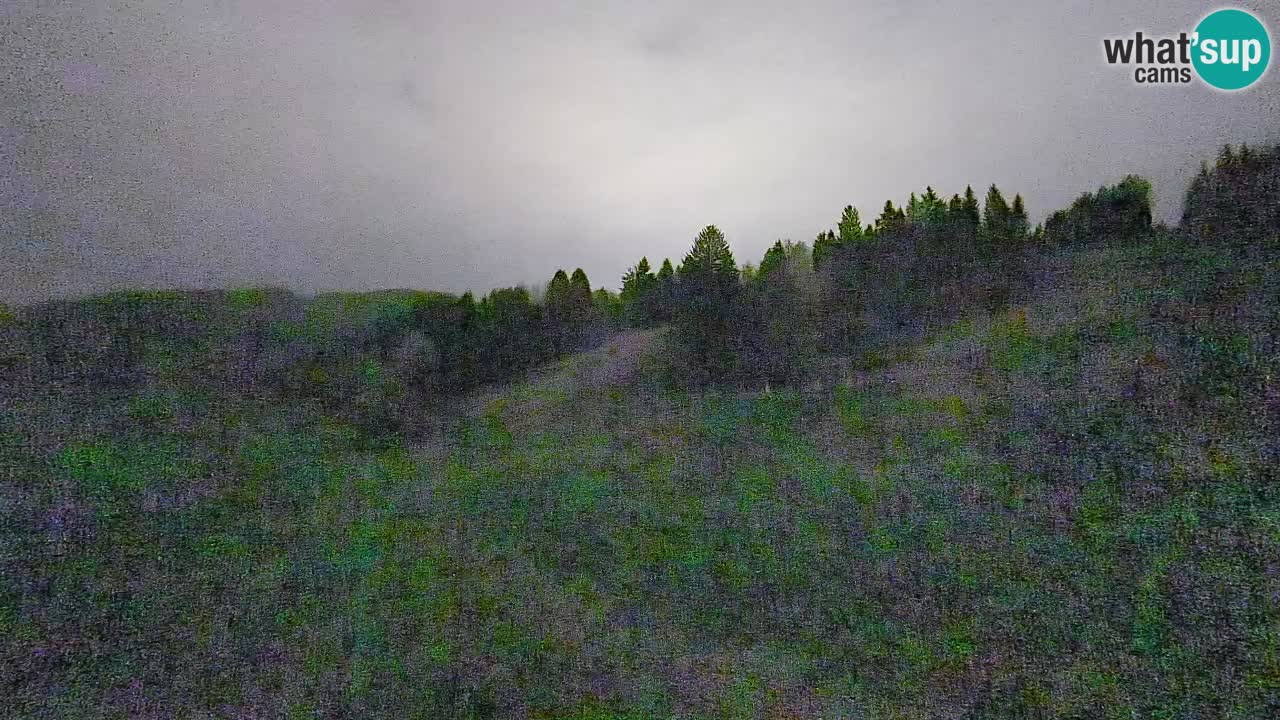 Spletna kamera Smučišče Senožeta – smučarsko središče v Srednji vasi pri Bohinju