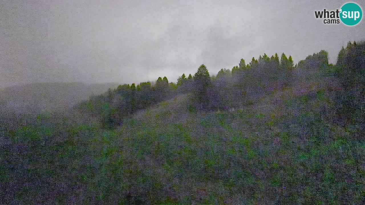 Webcam Smučišče Senožeta – Ski Resort Live View near Bohinj