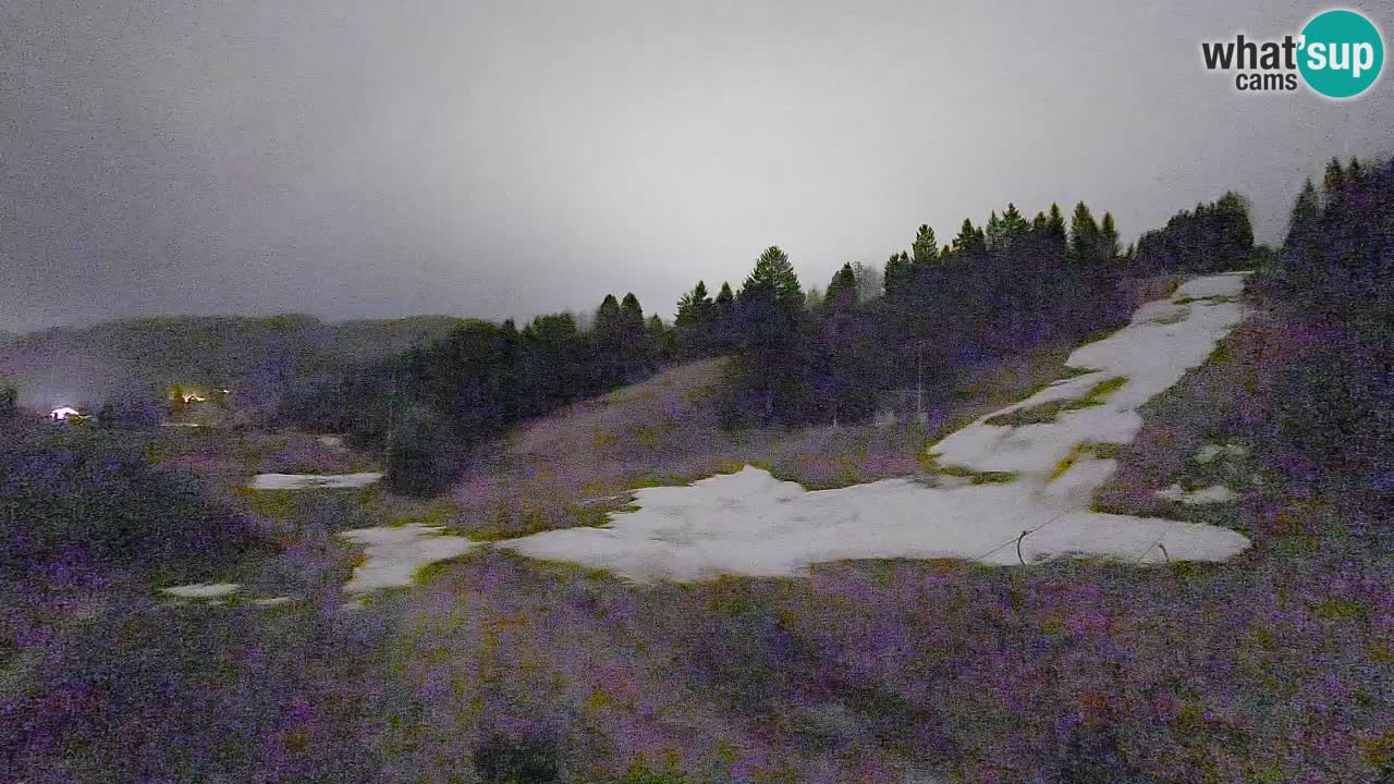 Webcam Smučišče Senožeta – Ski Resort Live View near Bohinj