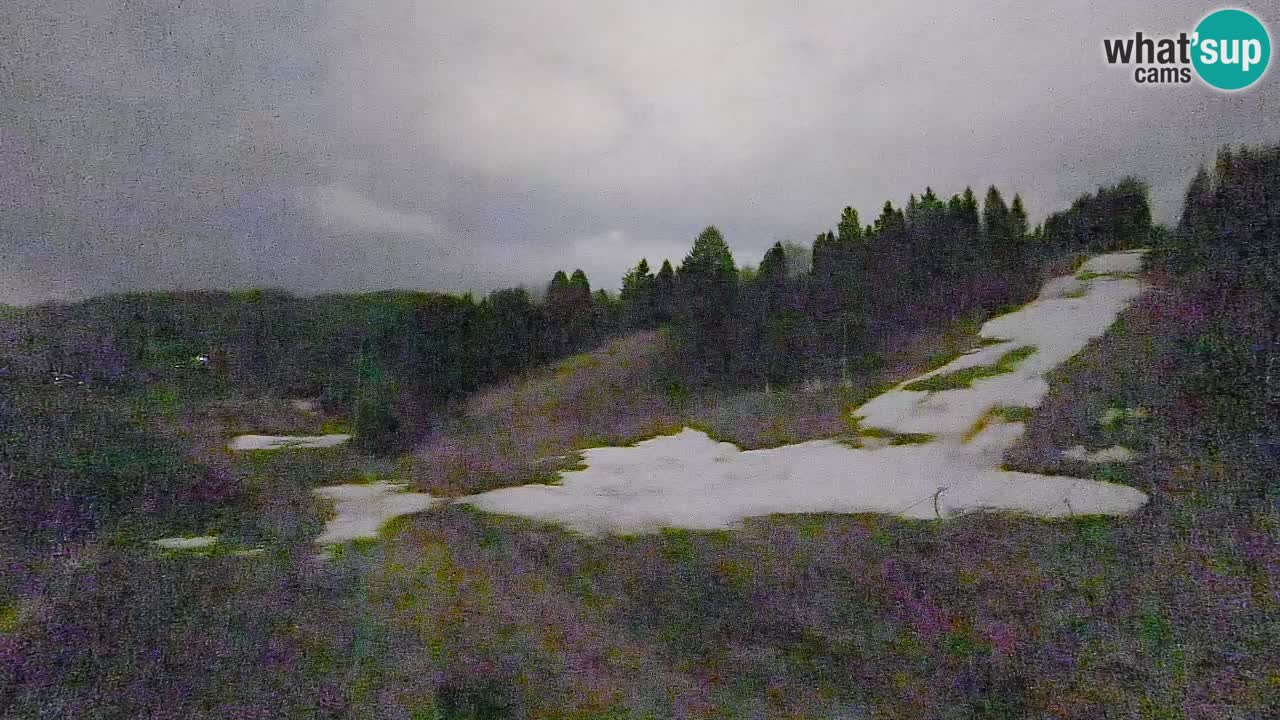 Webcam Smučišče Senožeta – Ski Resort Live View near Bohinj