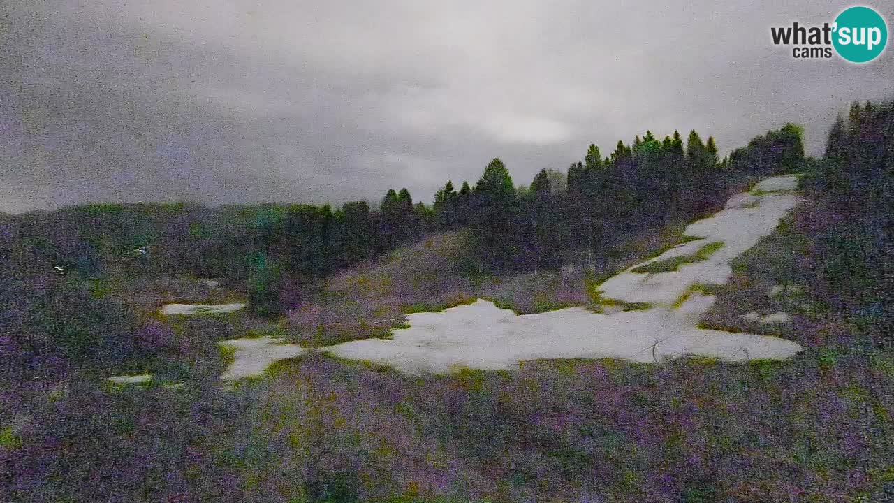 Web kamera Smučišče Senožeta – Skijalište u Srednjoj Vasi kod Bohinja