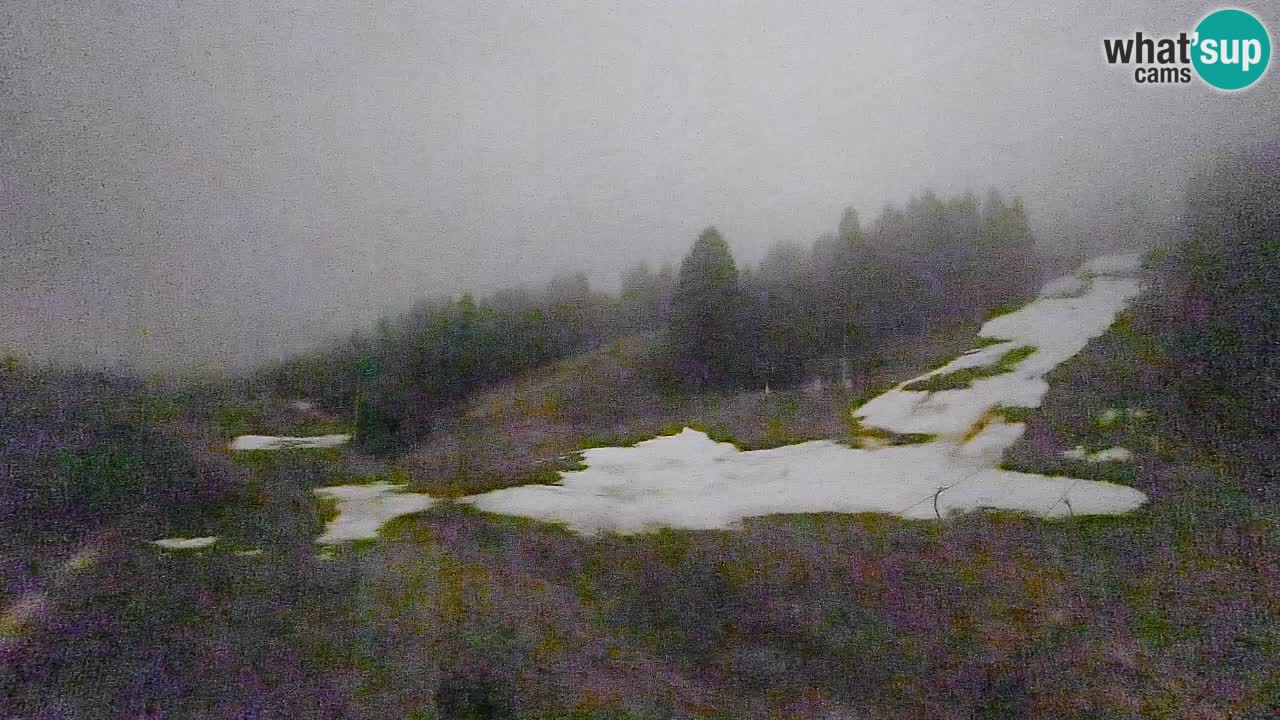 Spletna kamera Smučišče Senožeta – smučarsko središče v Srednji vasi pri Bohinju