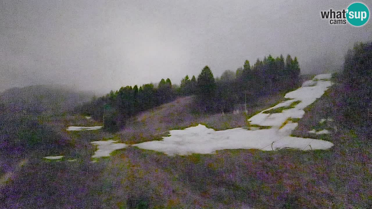 Webcam Smučišče Senožeta – Ski Resort Live View near Bohinj