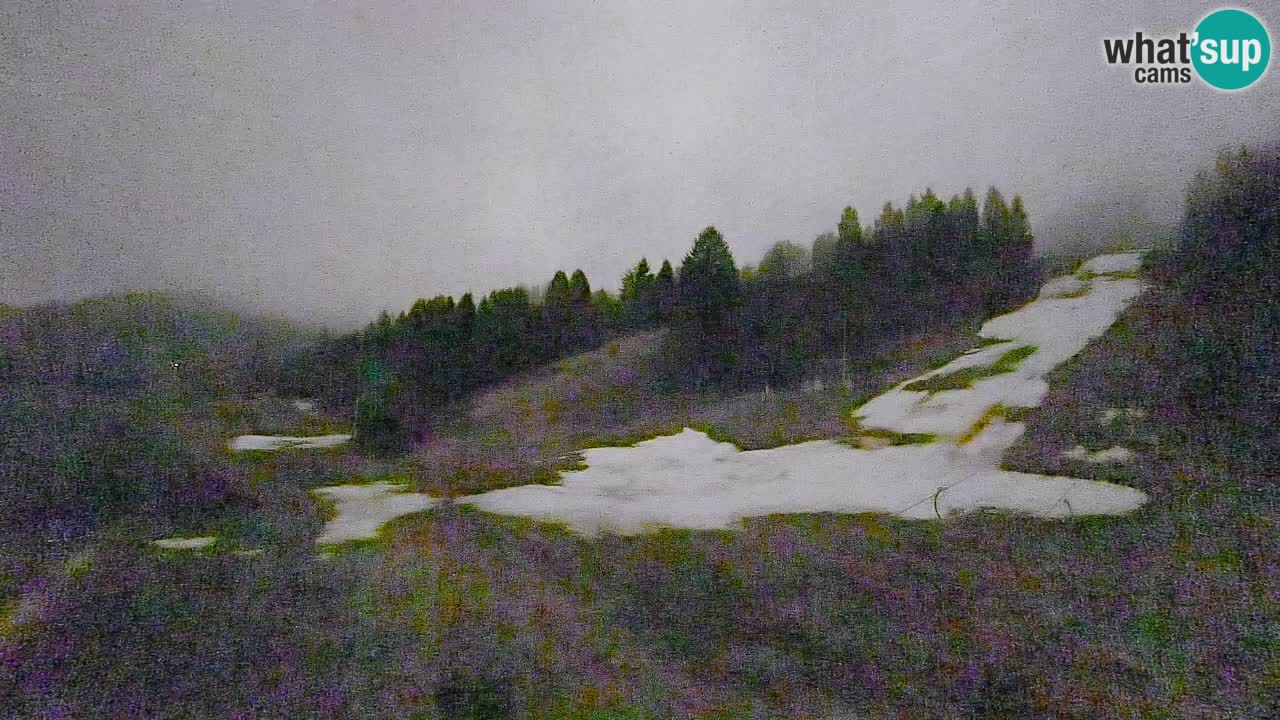 Spletna kamera Smučišče Senožeta – smučarsko središče v Srednji vasi pri Bohinju