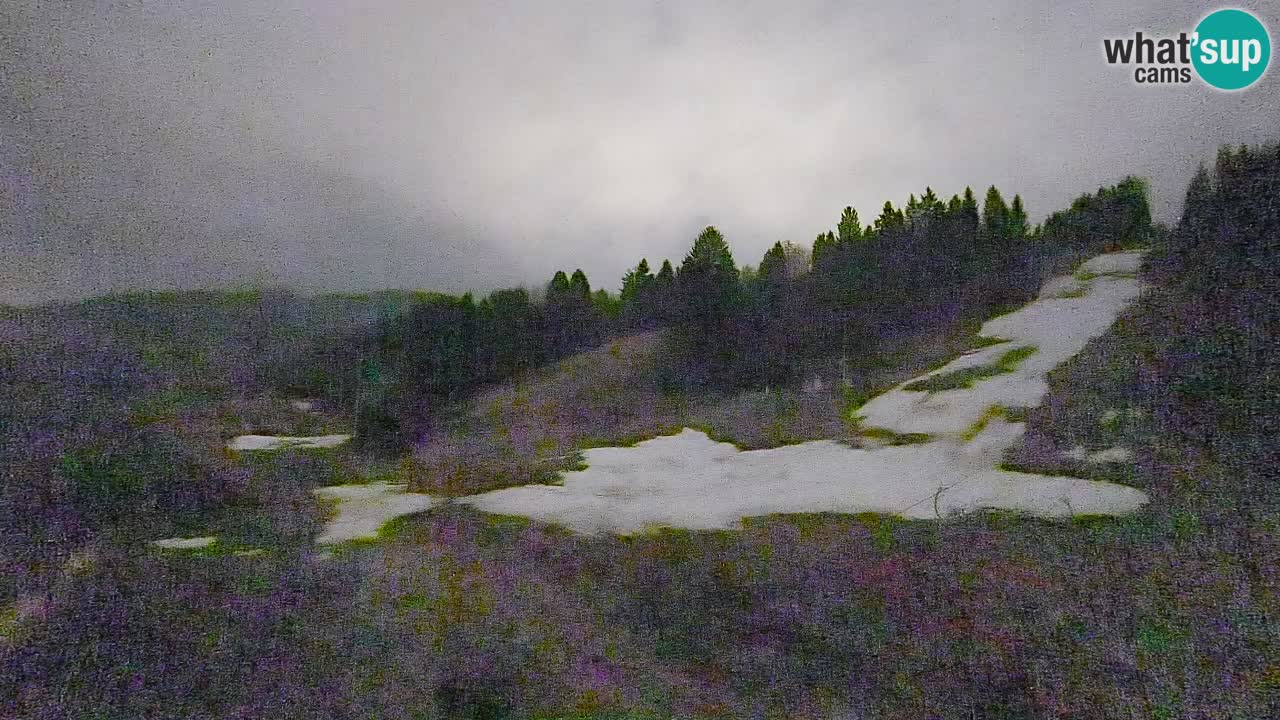 Spletna kamera Smučišče Senožeta – smučarsko središče v Srednji vasi pri Bohinju