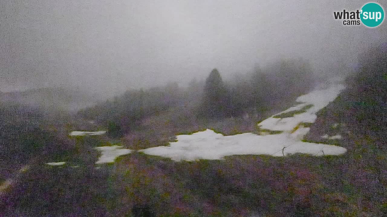 Spletna kamera Smučišče Senožeta – smučarsko središče v Srednji vasi pri Bohinju