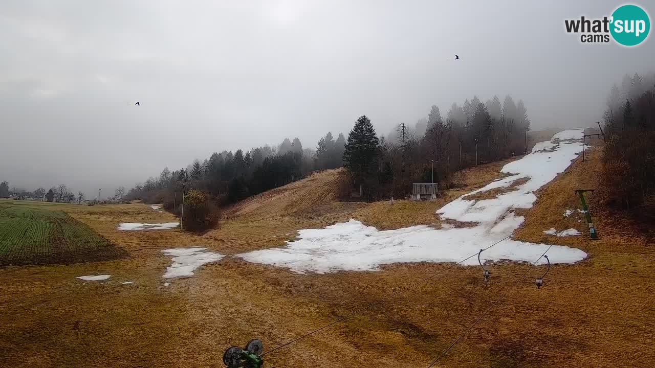 Webcam Smučišče Senožeta – Ski Resort Live View near Bohinj