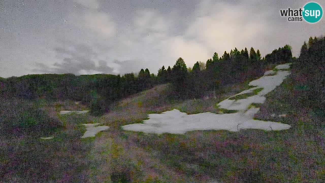 Webcam Smučišče Senožeta – Stazione sciistica a Srednja Vas vicino Bohinj