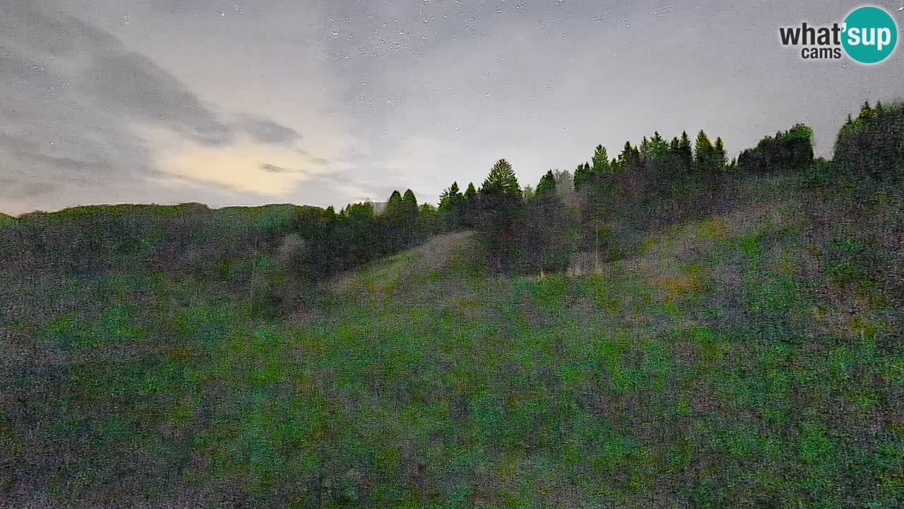 Webcam Smučišče Senožeta – Ski Resort Live View near Bohinj