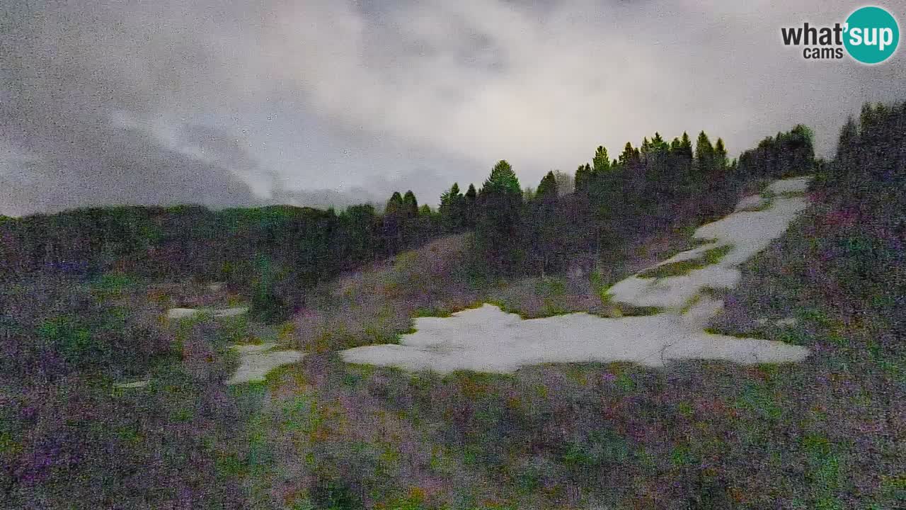 Webcam Smučišče Senožeta – Ski Resort Live View near Bohinj