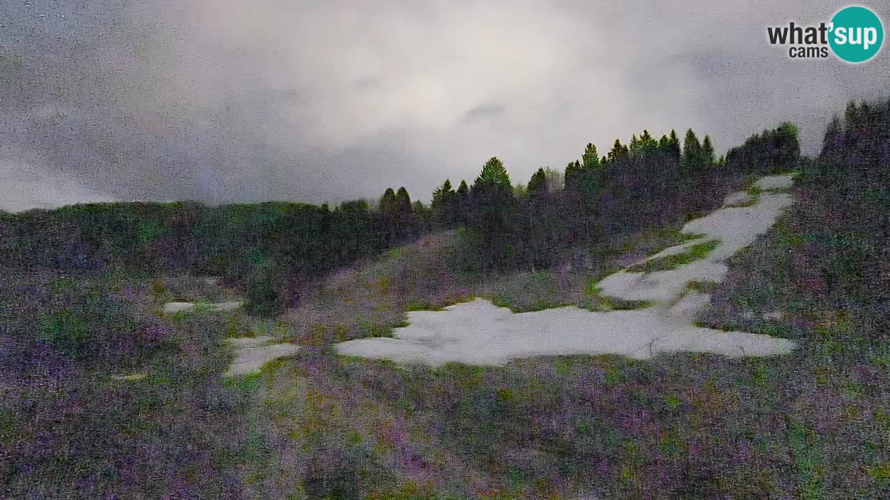 Webcam Smučišče Senožeta – Stazione sciistica a Srednja Vas vicino Bohinj