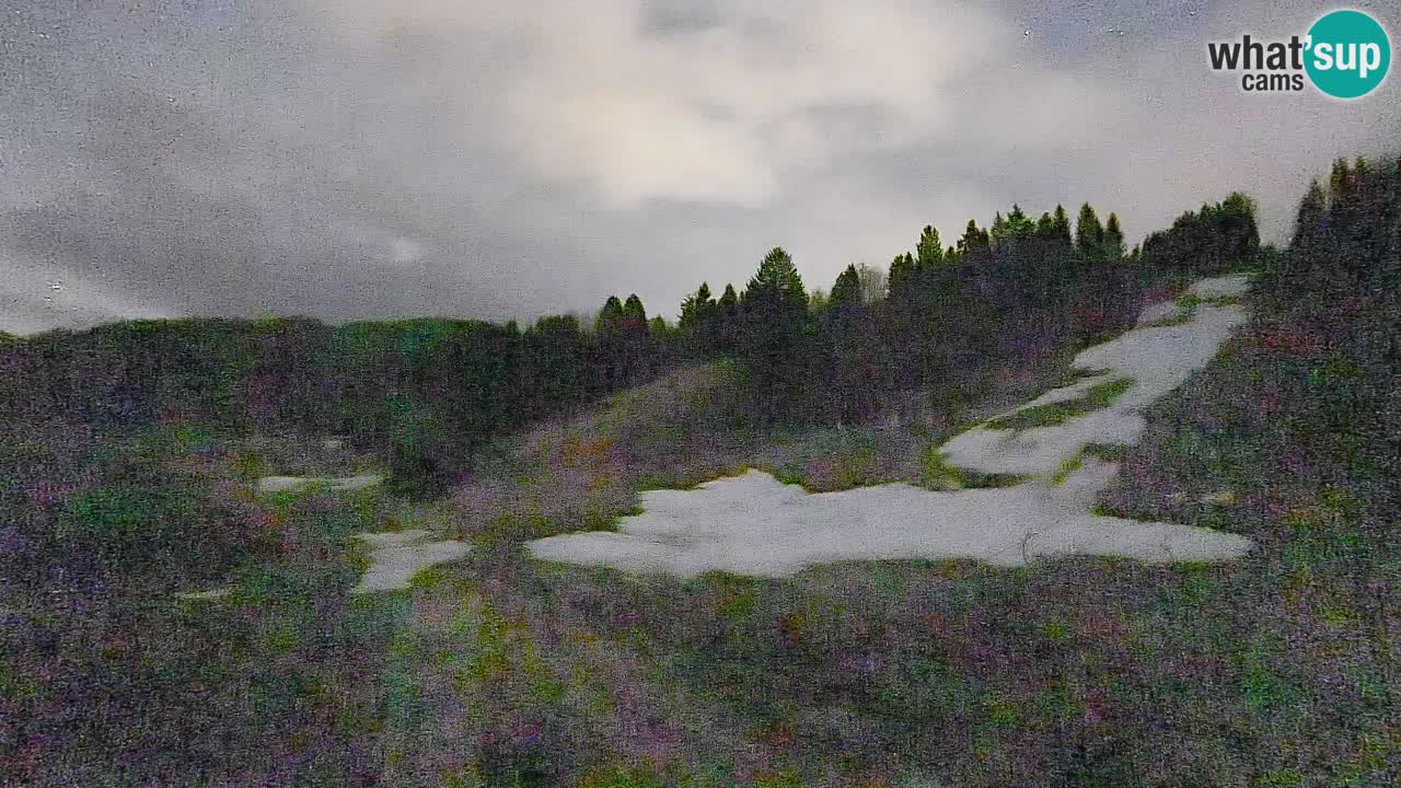 Spletna kamera Smučišče Senožeta – smučarsko središče v Srednji vasi pri Bohinju