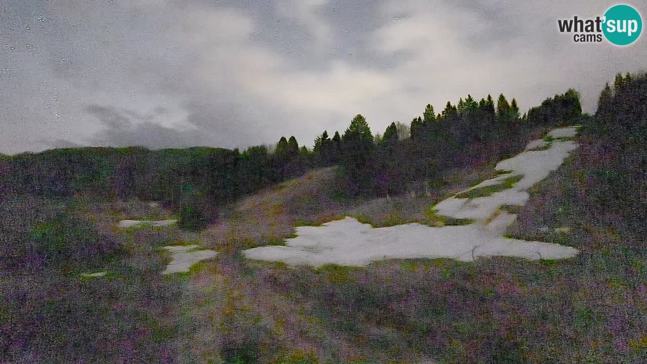 Spletna kamera Smučišče Senožeta – smučarsko središče v Srednji vasi pri Bohinju