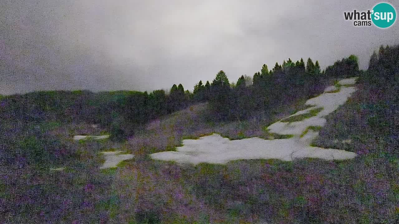 Webcam Smučišče Senožeta – Ski Resort Live View near Bohinj