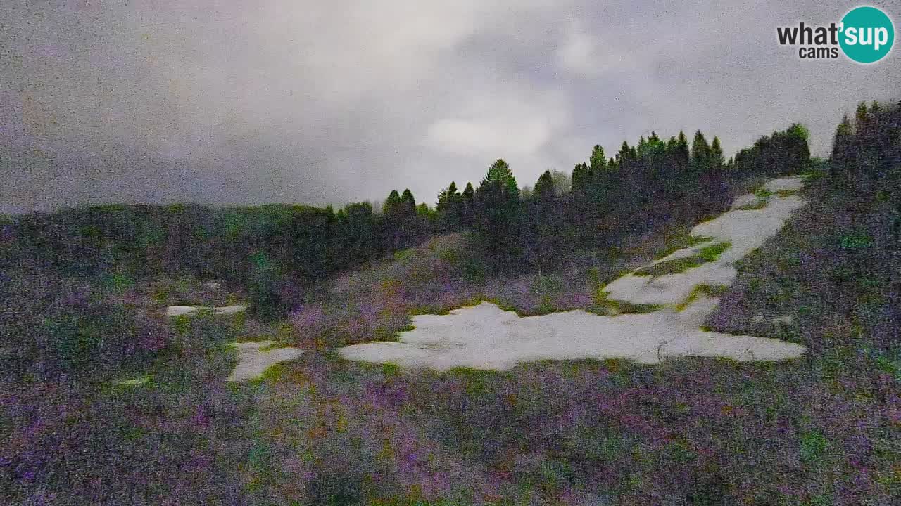 Webcam Smučišče Senožeta – Ski Resort Live View near Bohinj