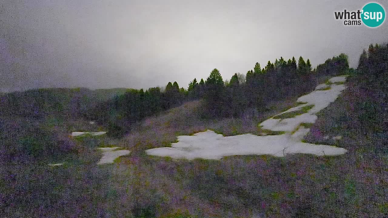 Spletna kamera Smučišče Senožeta – smučarsko središče v Srednji vasi pri Bohinju