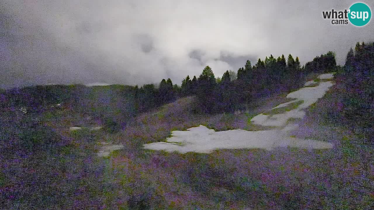 Webcam Smučišče Senožeta – Stazione sciistica a Srednja Vas vicino Bohinj