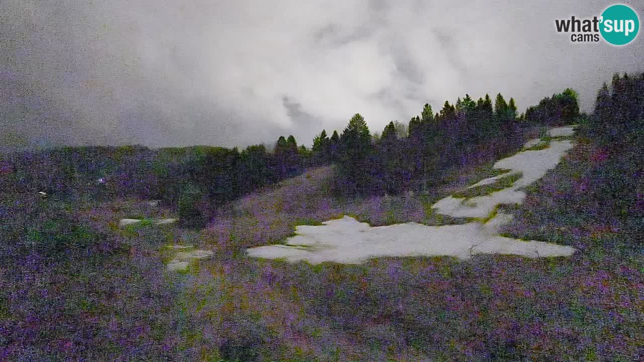 Webcam Smučišče Senožeta – Stazione sciistica a Srednja Vas vicino Bohinj