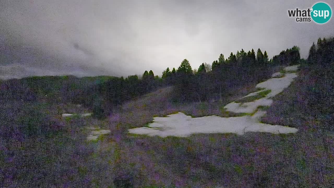 Webcam Smučišče Senožeta – Ski Resort Live View near Bohinj