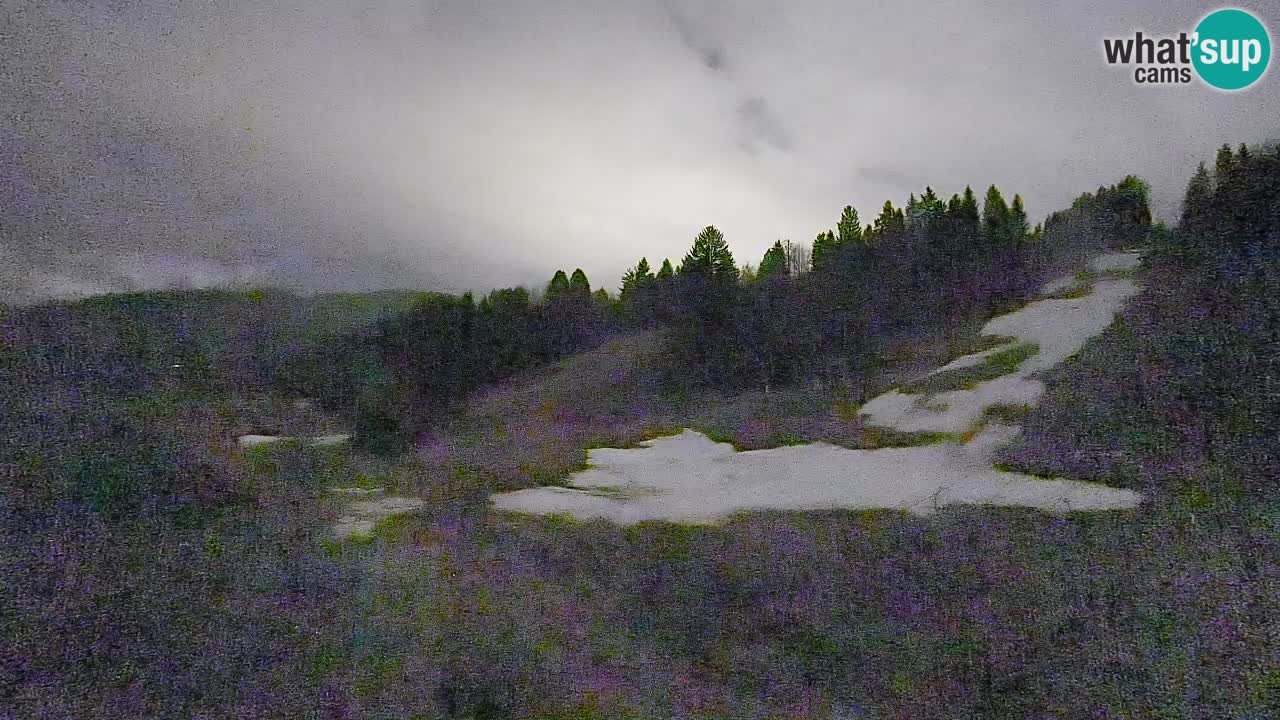 Webcam Smučišče Senožeta – Skigebiet in Srednja Vas bei Bohinj