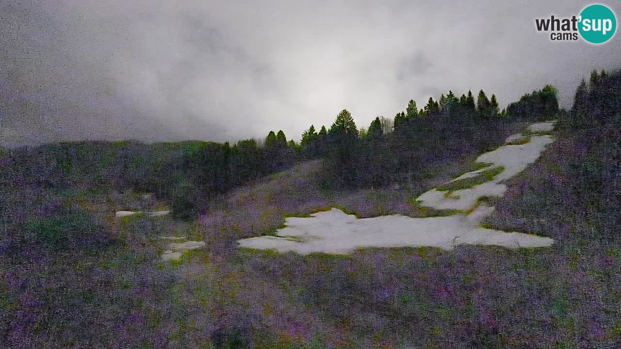 Webcam Smučišče Senožeta – Stazione sciistica a Srednja Vas vicino Bohinj