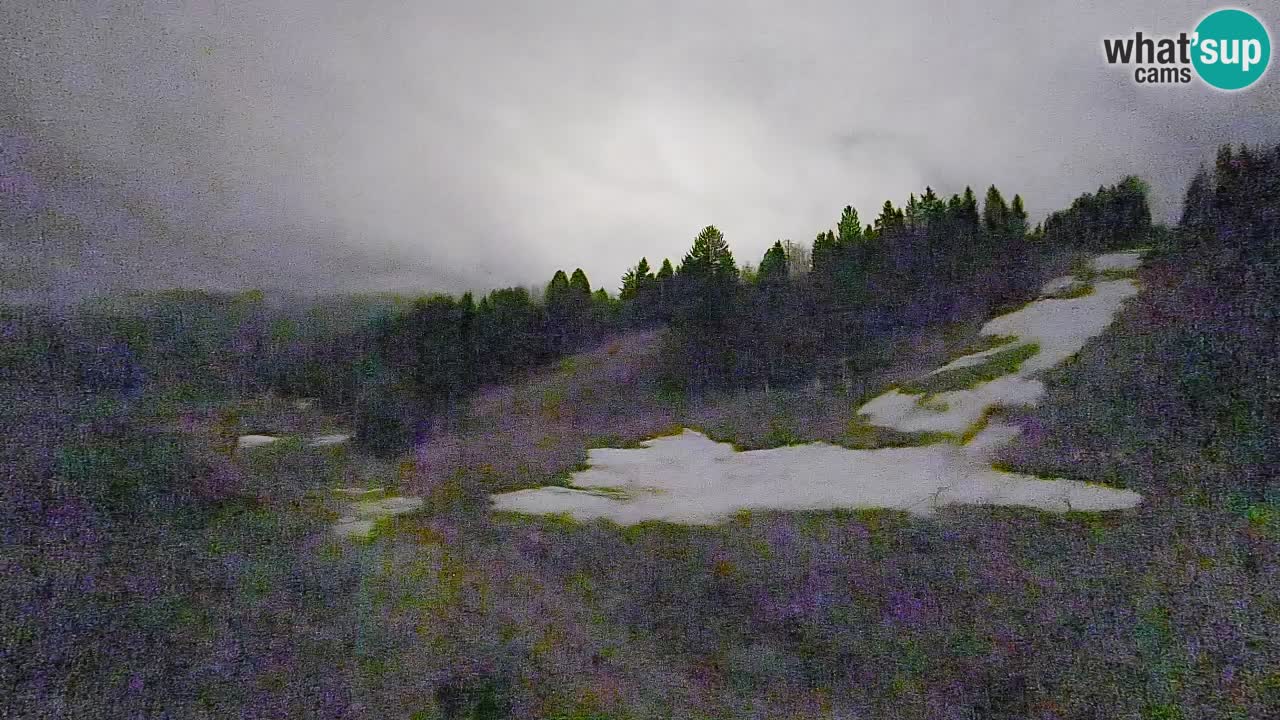 Cámara web Smučišče Senožeta – Estación de esquí en Srednja Vas cerca de Bohinj