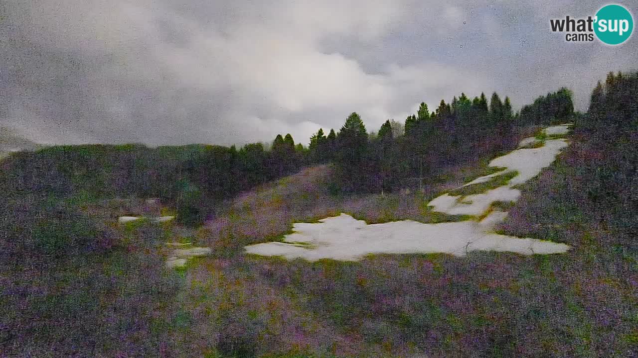 Webcam Smučišče Senožeta – Ski Resort Live View near Bohinj