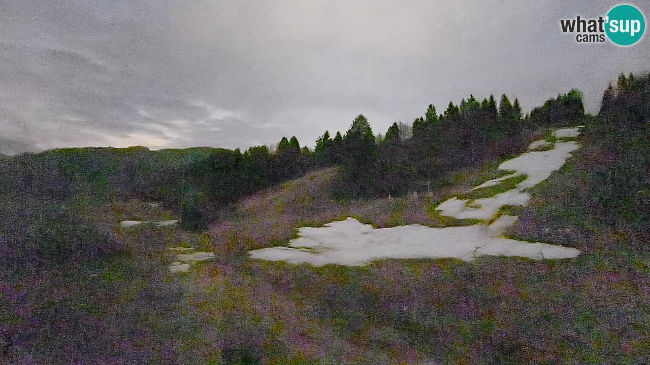 Webcam Smučišče Senožeta – Ski Resort Live View near Bohinj