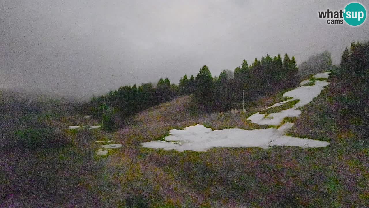 Webcam Smučišče Senožeta – Ski Resort Live View near Bohinj