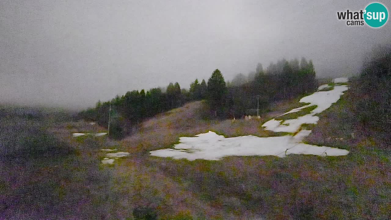 Webcam Smučišče Senožeta – Ski Resort Live View near Bohinj