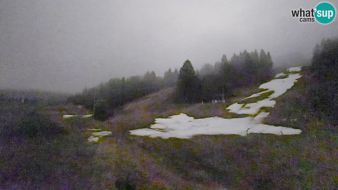Webcam Smučišče Senožeta – Ski Resort Live View near Bohinj