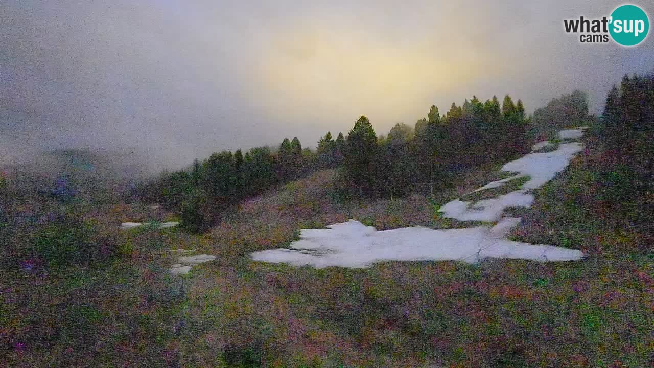 Webcam Smučišče Senožeta – Skigebiet in Srednja Vas bei Bohinj