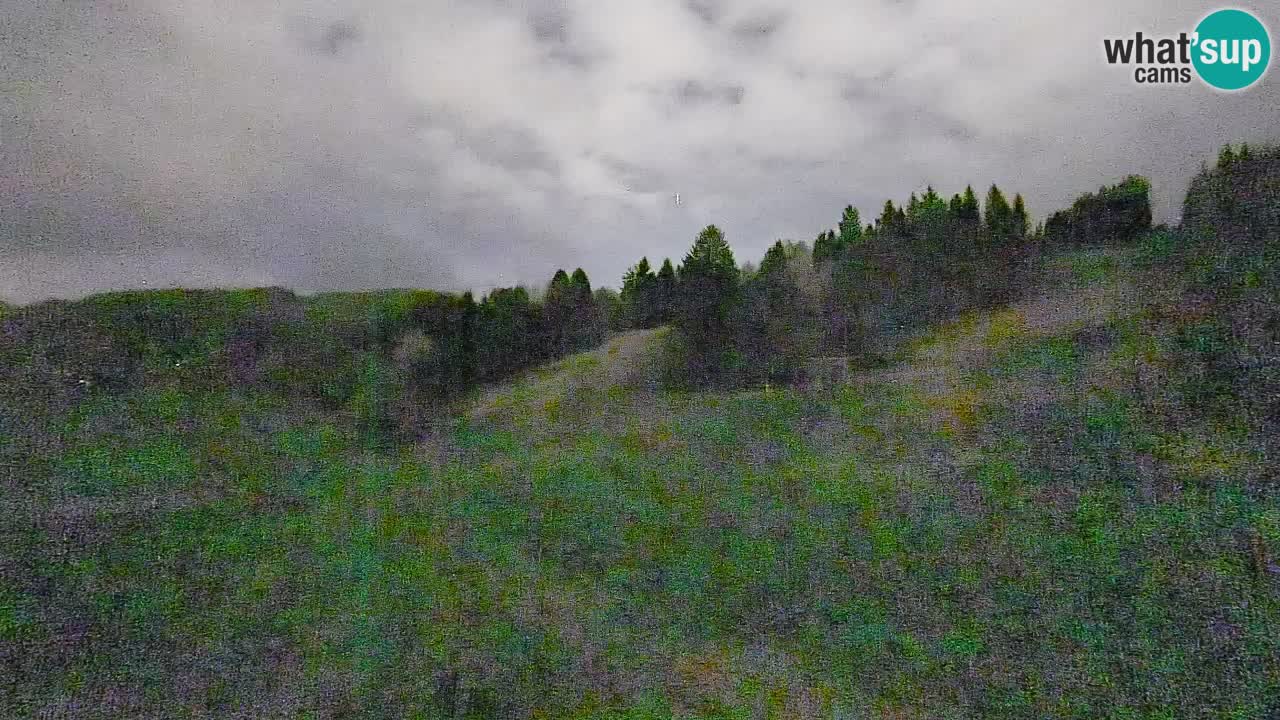 Webcam Smučišče Senožeta – Ski Resort Live View near Bohinj