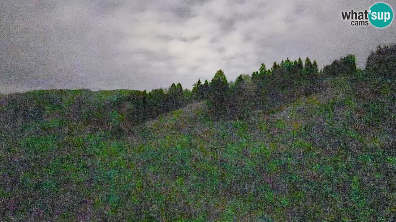 Webcam Smučišče Senožeta – Ski Resort Live View near Bohinj