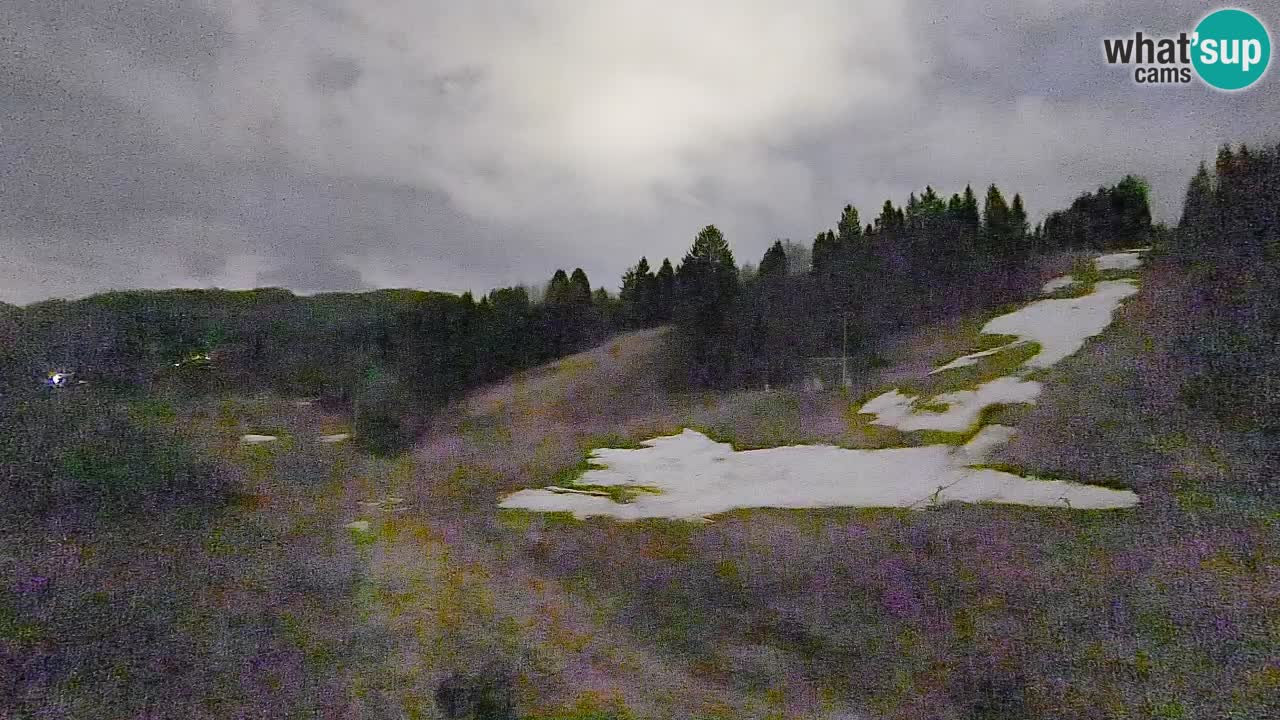 Webcam Smučišče Senožeta – Skigebiet in Srednja Vas bei Bohinj