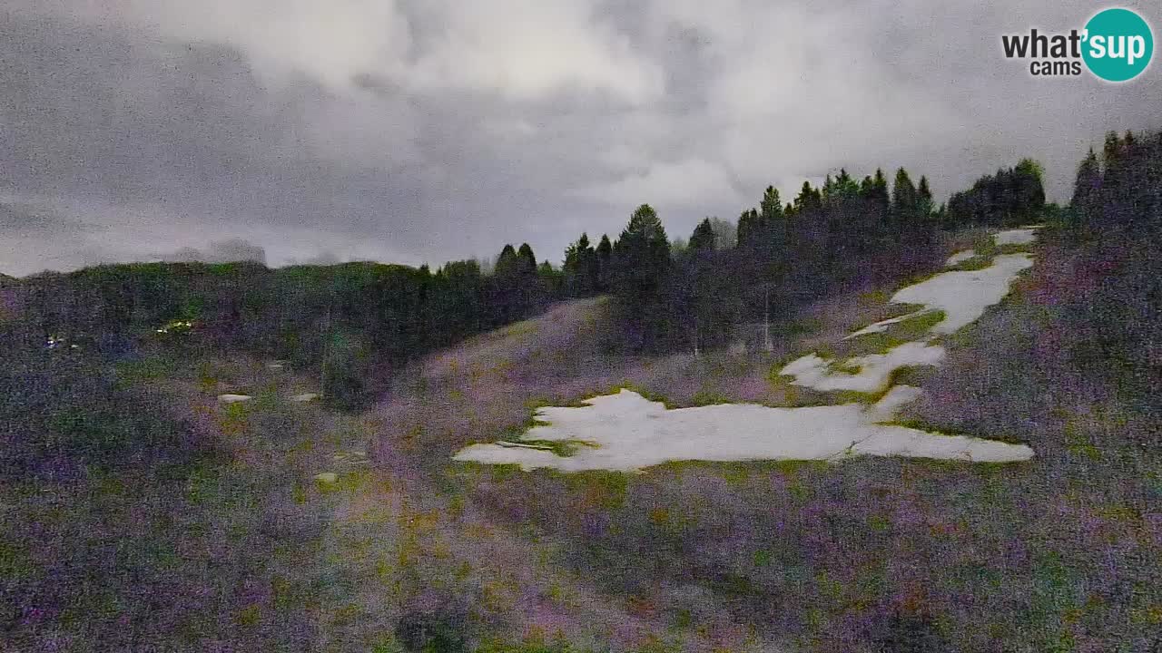 Webcam Smučišče Senožeta – Ski Resort Live View near Bohinj