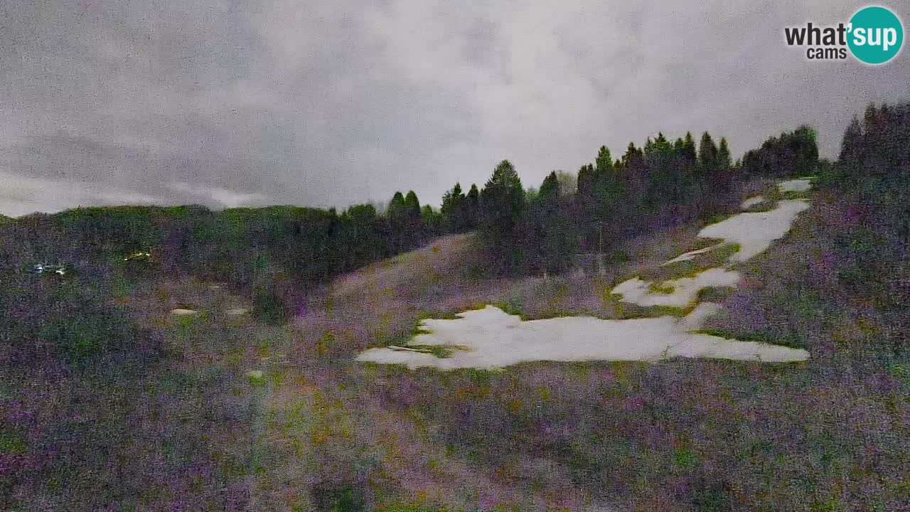 Webcam Smučišče Senožeta – Ski Resort Live View near Bohinj