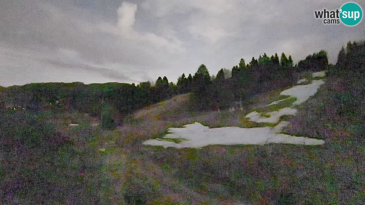 Spletna kamera Smučišče Senožeta – smučarsko središče v Srednji vasi pri Bohinju