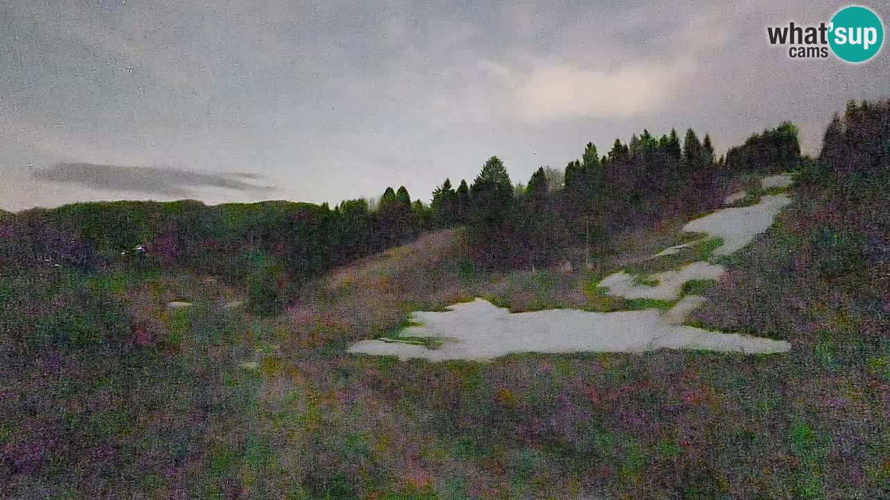 Webcam Smučišče Senožeta – Ski Resort Live View near Bohinj