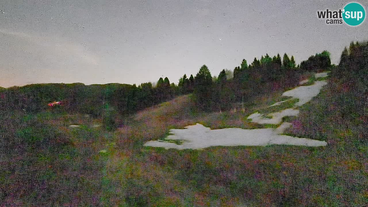 Webcam Smučišče Senožeta – Skigebiet in Srednja Vas bei Bohinj